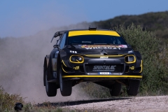 Andreas Mikkelsen-Petter Solberg, Citroen C3 WRC #21