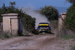 Andreas Mikkelsen-Petter Solberg, Citroen C3 WRC #21